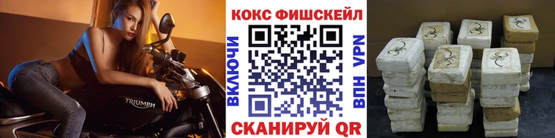 Cocaine FishScale купить наркотик Новодвинск