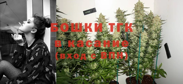 Альфа ПВП Сосновый Бор