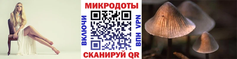 Галлюциногенные грибы Magic Shrooms Новодвинск